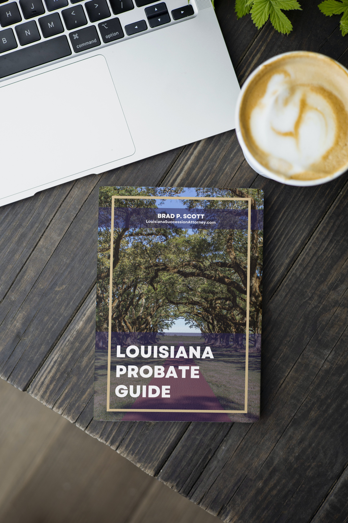 Louisiana Probate Guide BOOK
